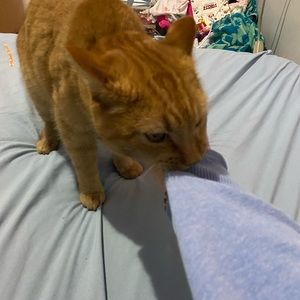 Meet your Posher, Emma